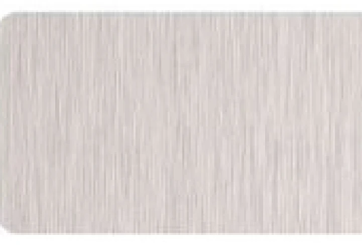 Goodsense SILVER BRUSH · JXX-9931