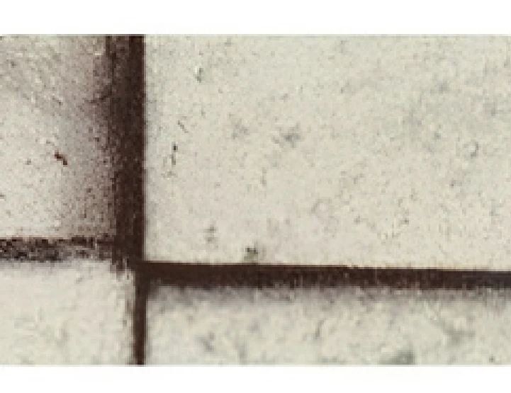 Goodsense MOSAIC · JXX-8042